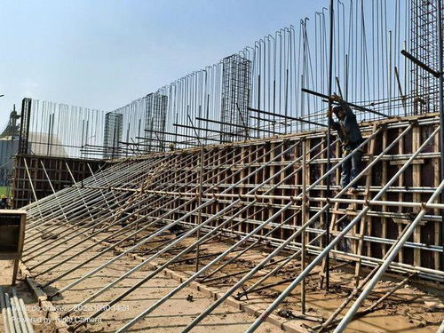 劉曉峰一行蒞臨玻利維亞圣胡利安大豆副產(chǎn)品加工廠項(xiàng)目并慰問(wèn)員工